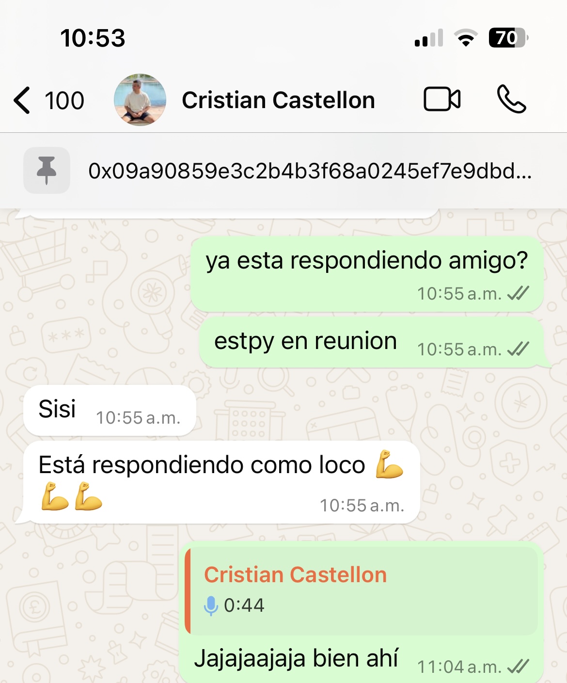 Chat de WhatsApp con Revolution